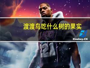 渡渡鸟吃什么树的果实