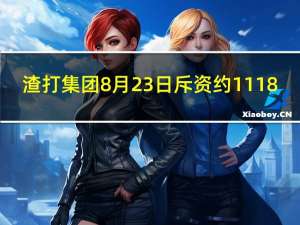 渣打集团8月23日斥资约1118.6万英镑回购合共156.71万股