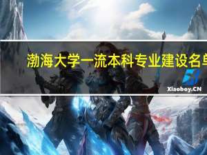 渤海大学一流本科专业建设名单
