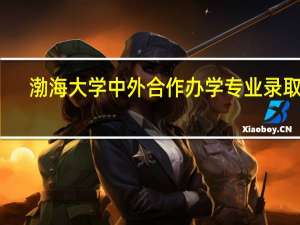 渤海大学中外合作办学专业录取线