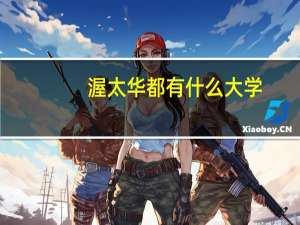 渥太华都有什么大学