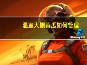 温室大棚黄瓜如何管理