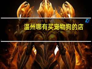 温州哪有买宠物狗的店