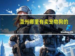 温州哪里有卖宠物狗的