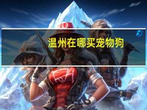 温州在哪买宠物狗