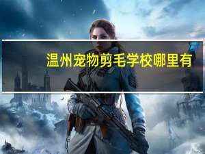 温州宠物剪毛学校哪里有