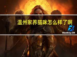 温州家养猫咪怎么样了啊