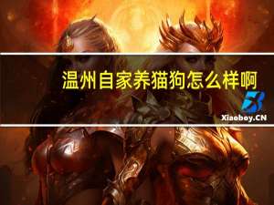 温州自家养猫狗怎么样啊