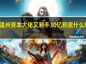温州资本大佬又到手30亿 到底什么情况嘞