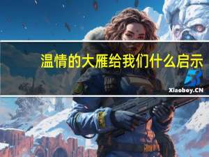温情的大雁给我们什么启示