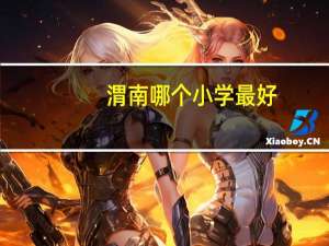 渭南哪个小学最好