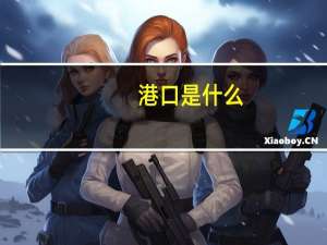 港口是什么