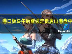 港口板块午后继续走低唐山港盘中跌停
