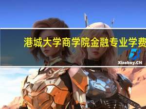 港城大学商学院金融专业学费