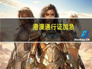 港澳通行证加急