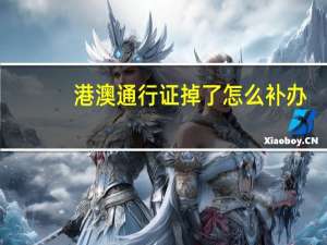 港澳通行证掉了怎么补办