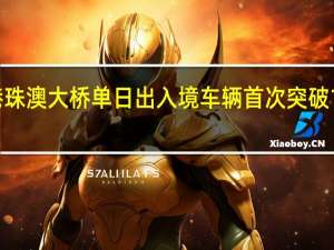 港珠澳大桥单日出入境车辆首次突破1万辆次