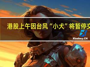 港股上午因台风“小犬”将暂停交易