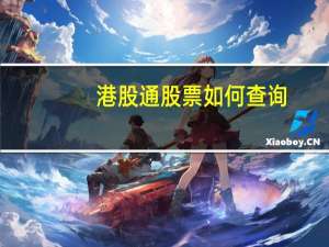 港股通股票如何查询
