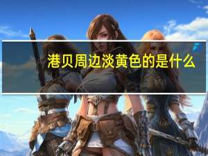 港贝周边淡黄色的是什么