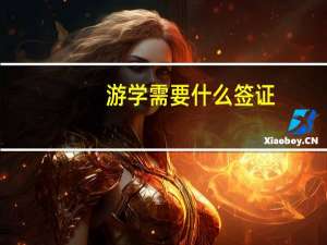 游学需要什么签证