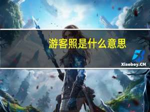 游客照是什么意思