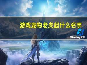 游戏宠物老虎起什么名字