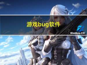 游戏bug软件（游戏bug）