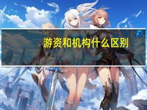 游资和机构什么区别