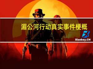 湄公河行动真实事件梗概（湄公河行动真实事件）