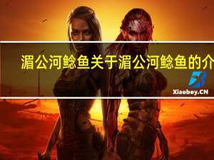 湄公河鲶鱼 关于湄公河鲶鱼的介绍