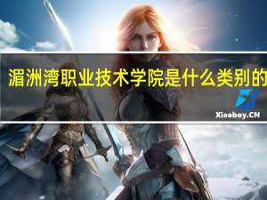 湄洲湾职业技术学院是什么类别的学校