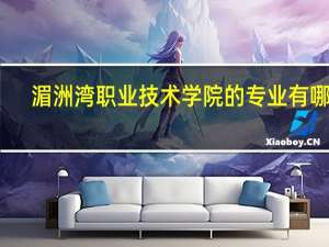 湄洲湾职业技术学院的专业有哪些