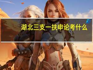 湖北三支一扶申论考什么