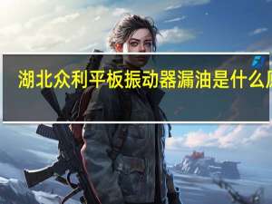湖北众利平板振动器漏油是什么原因