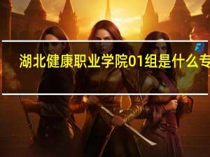 湖北健康职业学院01组是什么专业