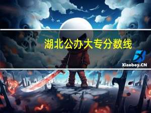 湖北公办大专分数线