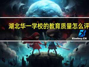 湖北华一学校的教育质量怎么评价