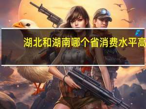 湖北和湖南哪个省消费水平高