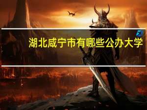 湖北咸宁市有哪些公办大学