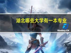 湖北哪些大学有一本专业