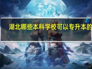湖北哪些本科学校可以专升本的啊