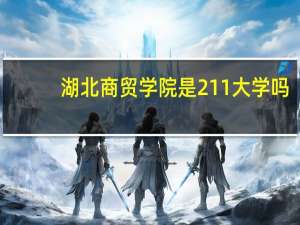 湖北商贸学院是211大学吗