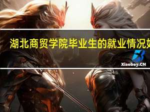 湖北商贸学院毕业生的就业情况如何