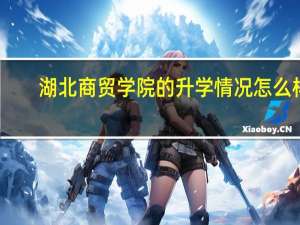 湖北商贸学院的升学情况怎么样