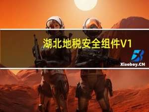 湖北地税安全组件 V1.0.0.0 官方版（湖北地税安全组件 V1.0.0.0 官方版功能简介）