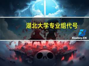 湖北大学专业组代号