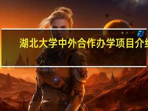 湖北大学中外合作办学项目介绍