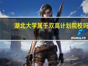 湖北大学属于双高计划院校吗