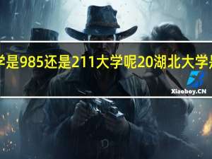 湖北大学是985还是211大学呢 湖北大学是985还是211